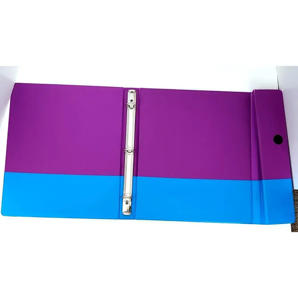 Vintage Lisa Frank Tri-Fold Binder Set – Cheer Bear Design – 1990s Collectible